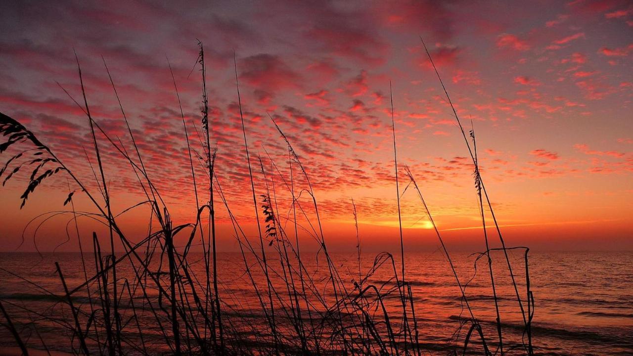 Pelican Pointe 2A Clearwater Beach Bagian luar foto