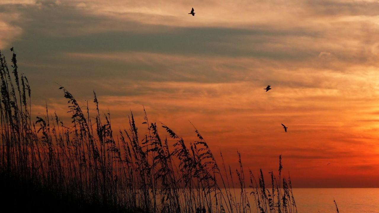 Pelican Pointe 2A Clearwater Beach Bagian luar foto