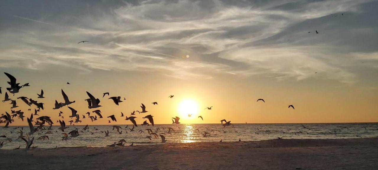 Pelican Pointe 2A Clearwater Beach Bagian luar foto